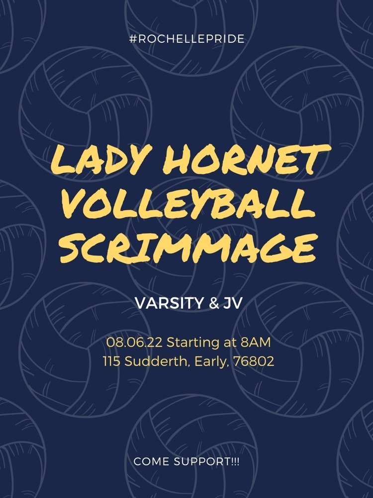 Lady Hornet Volleyball 